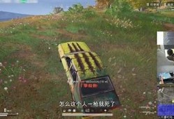 承人抖阴：揭示背后的秘密与影响