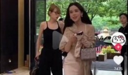 洛阳幸运草揭秘抖音热门视频背后的秘密与趣闻