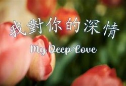 你真的爱我吗？深情抖音视频带你感受爱情的心跳