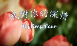 你真的爱我吗？深情抖音视频带你感受爱情的心跳