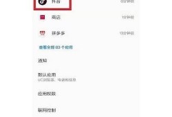 抖音1.56版本无法联网的方法及常见困难解析