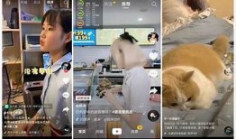 抖音精彩短视频合集免费在线观看，尽享趣味生活片段