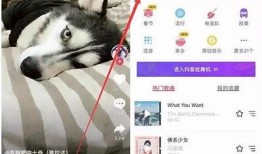 揭开抖音背后的秘密：如何在pan.baid上快速提升曝光量