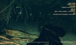 抖阴宝：探索神秘与乐趣的全新社交平台体验