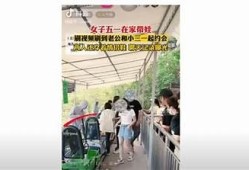 揭秘抖音阴婚特征：背后的故事与真实案例调查