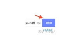 彻底解析抖阴账号会员，菜鸟网独家教程与技巧分享