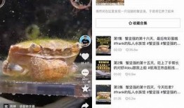 抖音版耗子走红，看看它为何受欢迎的背景!