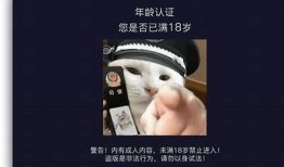 抖阴app参与红包活动方法揭秘，轻松赚取丰厚奖励