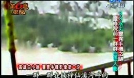 揭秘阴兵回避的真相：抖音视频中的灵异特征研究与讨论