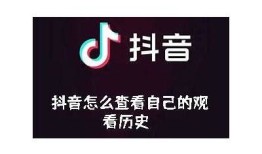 抖阴TV App旧版本账户信息查找与使用技巧分享