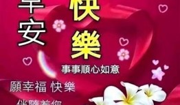打造美好生活，从健康习惯到快乐心态，广泛提升你的生活品质！