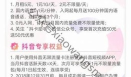 获取抖音VIP卡密的最佳途径和实用技巧分享