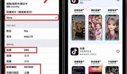 详细攻略：苹果系统如何下载抖音实践
