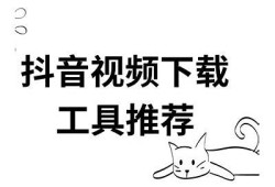 高效抖阴下载器：轻松获取热门视频资源的方法