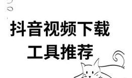 高效抖阴下载器：轻松获取热门视频资源的方法