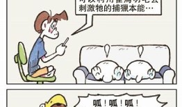 猫咪快喵抖阴：揭秘猫咪的搞笑日常与撒娇技巧