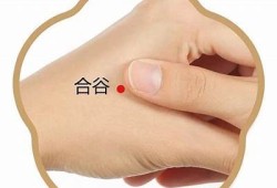 负阴抱阳：探秘内心平衡与积极能量的完美结合