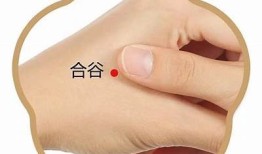 负阴抱阳：探秘内心平衡与积极能量的完美结合