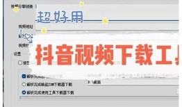 抖音APP完整解析：如何高效使用与热门玩法分享