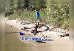 精彩抖阴污段视频合集，笑点与惊喜齐飞，快来围观！