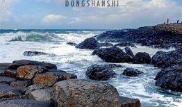 探秘自然之美：赏野花与抖阴奇趣视频分享