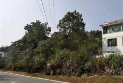 赣州赣县区沙地镇抖阴：探索当地独有文化与美食之旅