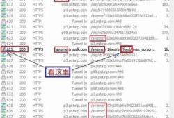 iOS抓包抖音技巧，全方位解析使用统计