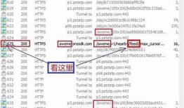 iOS抓包抖音技巧，全方位解析使用统计