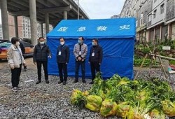 抖阴县全力以赴应对疫情，抗疫战时状态广泛升级