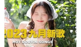 抖音热潮：2023年热门短视频精选合集 mp4下载