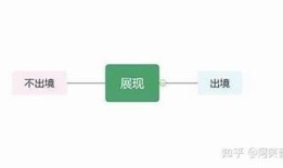 深入调查：抖阴与抖音的本质区别及其影响