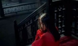 深入探讨：苹果的懂片帝里为何缺失抖阴功能？