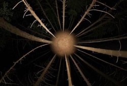 探索抖阴360视频：全景体验与使用技巧揭秘