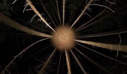 探索抖阴360视频：全景体验与使用技巧揭秘