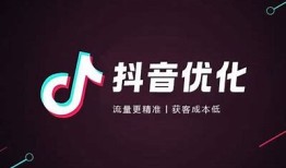 优化版抖音安卓版下载，畅享全新视频体验与社交乐趣