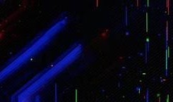 阴光主题抖音视频素材下载，助你创作独有短视频