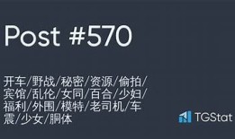 揭秘抖阴老司机的秘密：如何快速提升你的短视频创作技巧