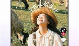 2025年抖阴iOS版手机下载指南：最新功能与安装步骤解析