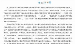 快手版抖阴：揭秘短视频平台新玩法与赚钱秘籍