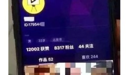 揭秘抖音成人版：探索抖阴视频的热潮与影响