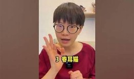 快猫抖阴：深度解析这款运用的功能与使用体验