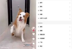 2023年国际版抖阴下载：安全快捷的获取方法与使用指南