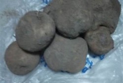 探索土豆的魅力：从健康饮食到美味菜肴的全方位指南
