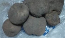 探索土豆的魅力：从健康饮食到美味菜肴的全方位指南