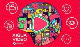 西瓜视频与抖音的精彩对比：谁才是短视频平台的王者？