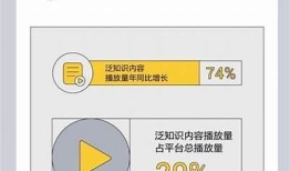 「提升抖音视频曝光率的优化技巧，助你快速涨粉的必备指南」
