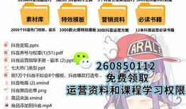 抖阴传媒：解读短视频潮流背后的营销策略与未来方向