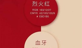 抖因TV官方下载：探索不一样的短视频体验，告别传统抖音