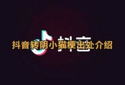 如何有效应对抖音转阴视频的影响与应对策略解析