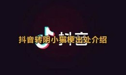 如何有效应对抖音转阴视频的影响与应对策略解析
